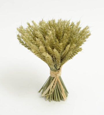 Significance of the Wave Sheaf